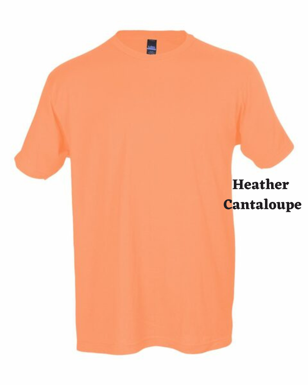 2XL-3XL Short Sleeve Graphic Tee Blanks