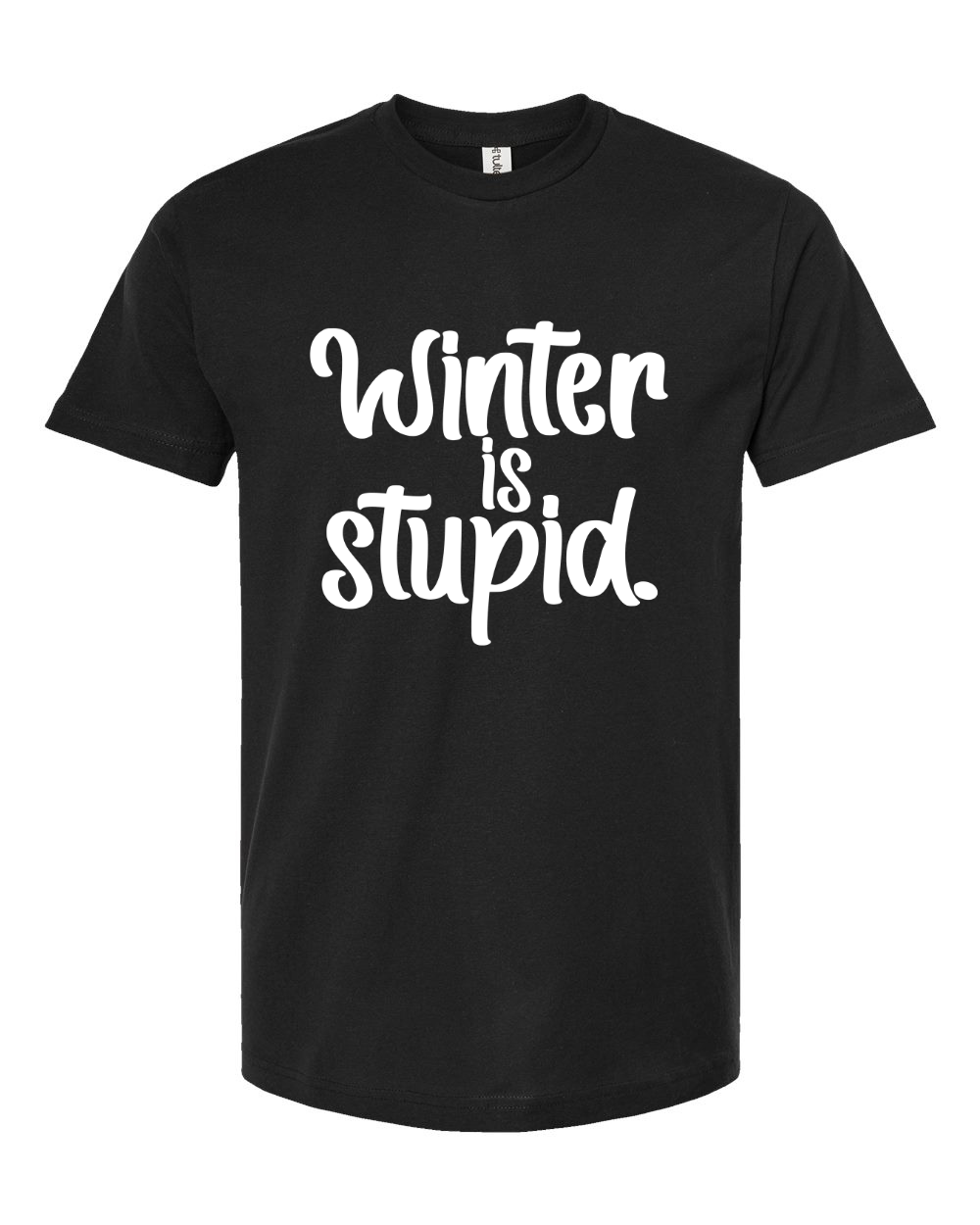PRE-ORDER |Winter is Stupid Sweatshirt