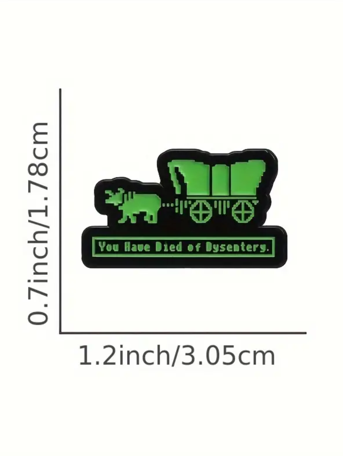 Died of Dysentery Enamel Pin