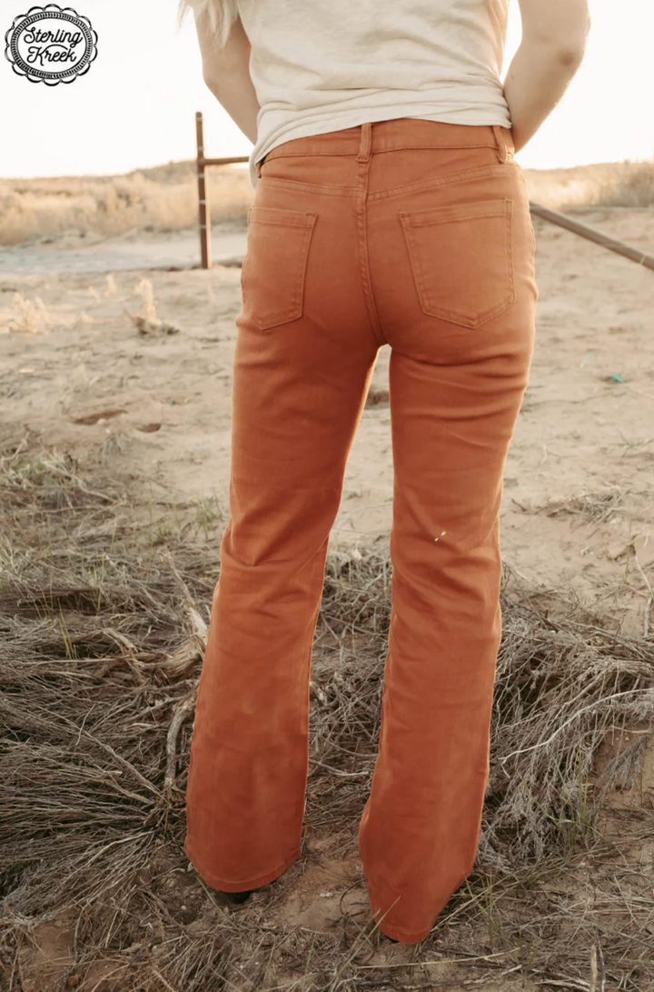 Walk this Way Denim Flare Jeans